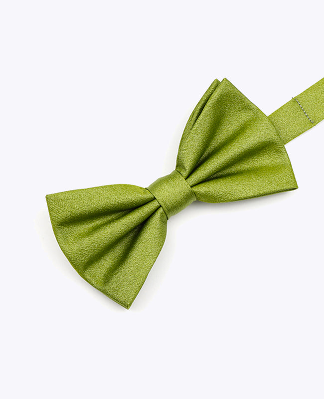 Vlinderdas met Pailletten Groen nr.1 Heren in Polyester | Armand - Unipap's