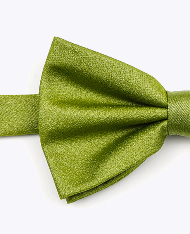 Vlinderdas met Pailletten Groen nr.1 Heren in Polyester | Armand - Unipap's
