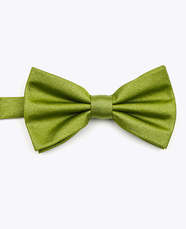 Vlinderdas met Groene Pailletten nr.1 Heren in Polyester | Armand - Unipap's