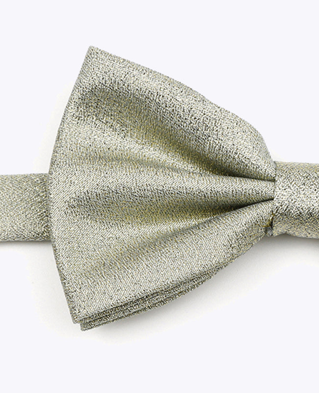 Vlinderdas met Pailletten Groen nr.1 Heren in Polyester | Isidore - Unipap's
