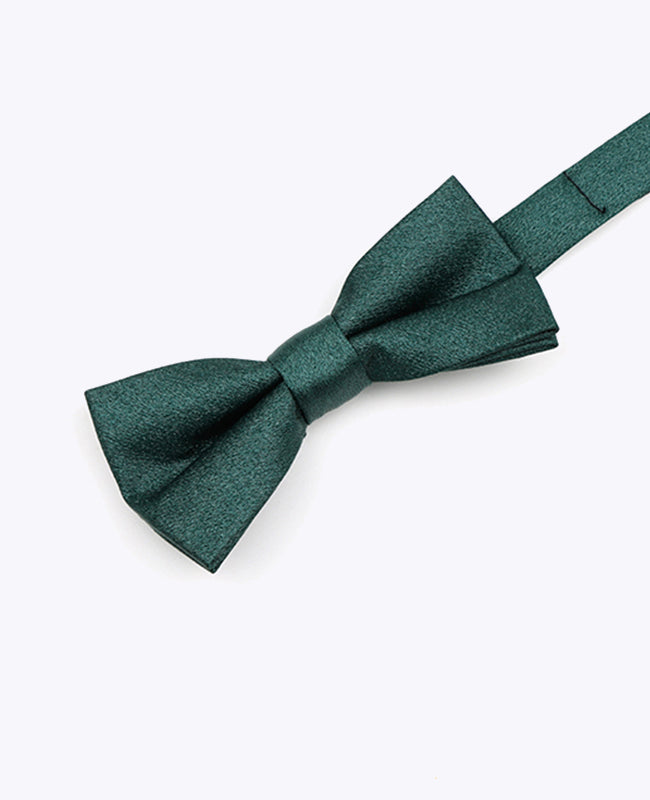 Vlinderdas met Pailletten Groen nr.2 Kinderen in Polyester | Armand - Unipap's