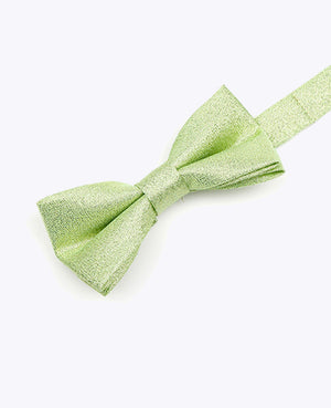 Vlinderdas met Groene Pailletten nr.2 Kinderen in Polyester | Isidore - Unipap's