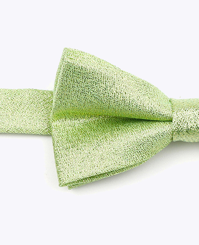 Vlinderdas met Pailletten Groen nr.2 Kinderen in Polyester | Isidore - Unipap's