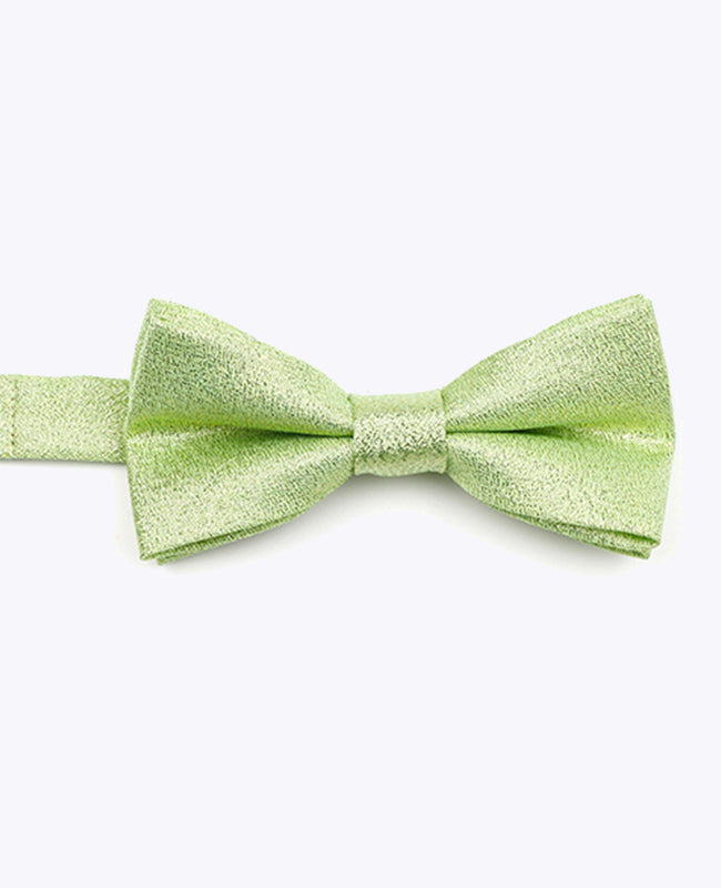 Vlinderdas met Pailletten Groen nr.2 Kinderen in Polyester | Isidore - Unipap's