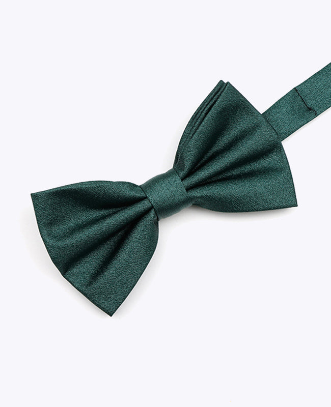 Vlinderdas met Pailletten Groen nr.2 Heren in Polyester | Armand - Unipap's