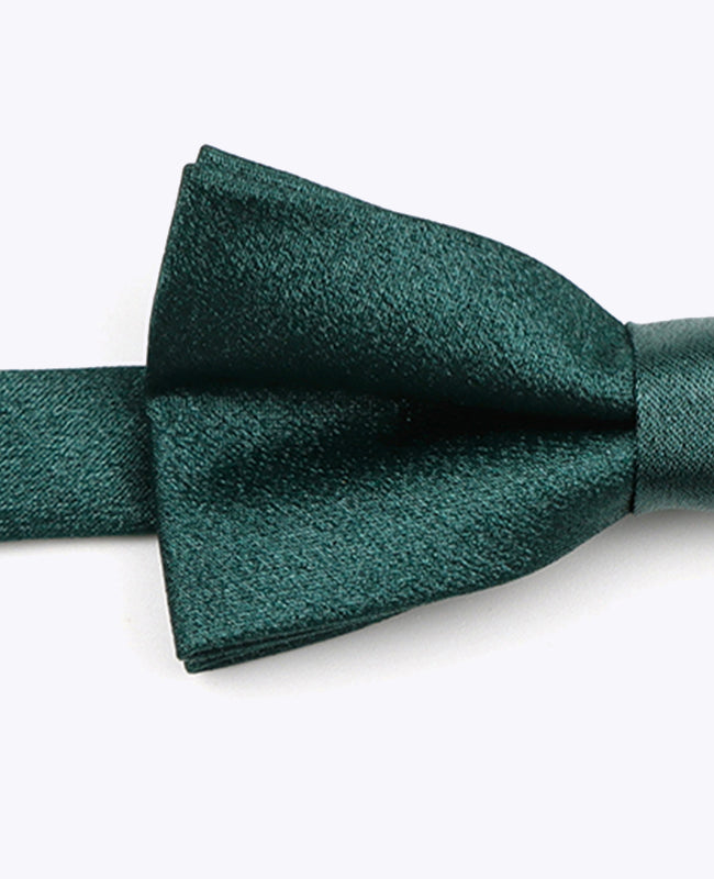 Vlinderdas met Groene Pailletten nr.2 Heren in Polyester | Armand - Unipap's
