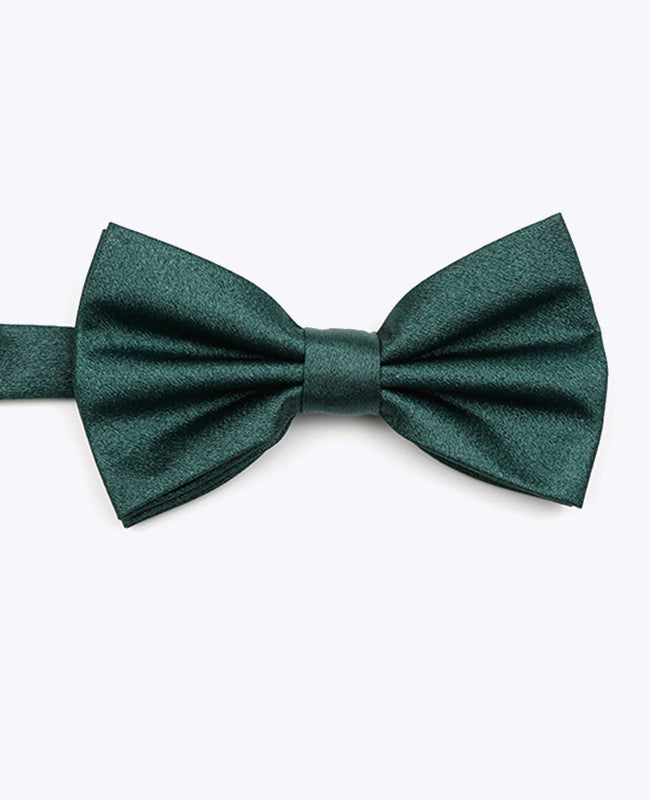 Vlinderdas met Pailletten Groen nr.2 Heren in Polyester | Armand - Unipap's
