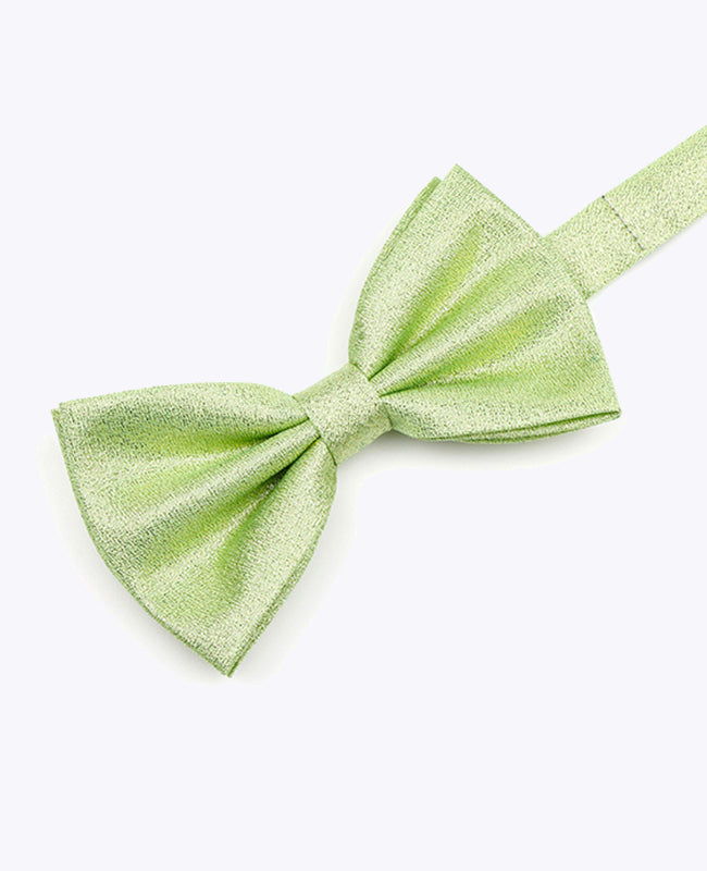 Vlinderdas met Pailletten Groen nr.2 Heren in Polyester | Isidore - Unipap's