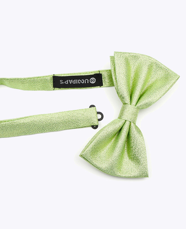 Vlinderdas met Pailletten Groen nr.2 Heren in Polyester | Isidore - Unipap's