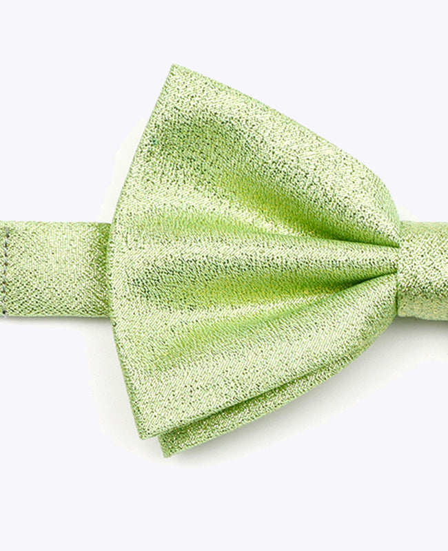 Vlinderdas met Pailletten Groen nr.2 Heren in Polyester | Isidore - Unipap's