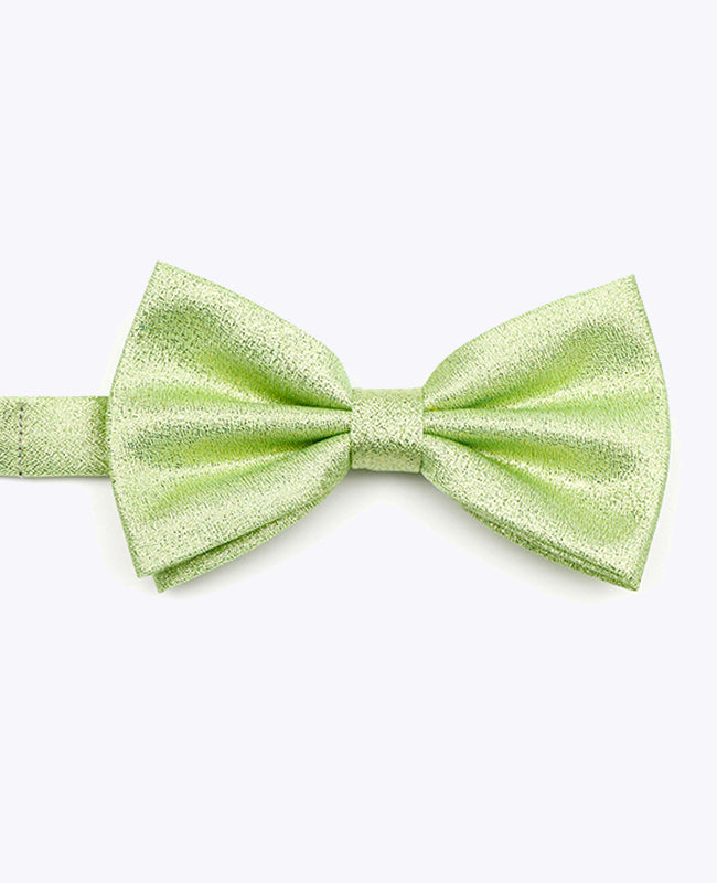 Vlinderdas met Pailletten Groen nr.2 Heren in Polyester | Isidore - Unipap's
