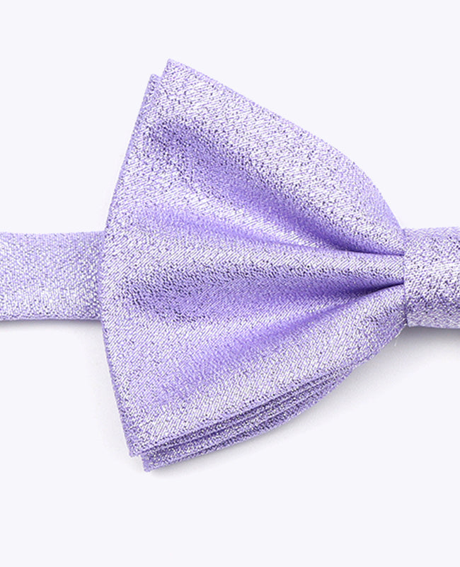 Vlinderdas met Paarse Pailletten nr.1 Heren in Polyester | Isidore - Unipap's
