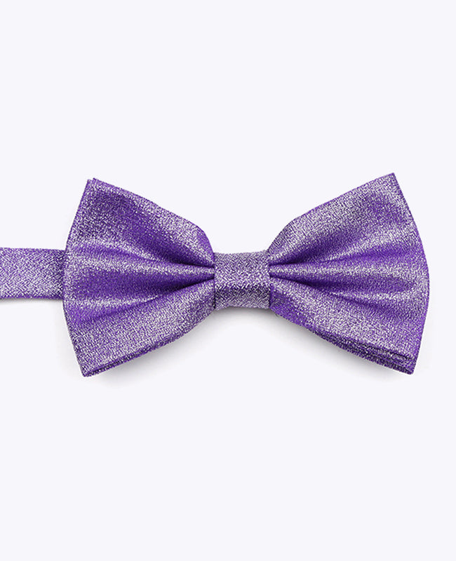 Vlinderdas met Pailletten Paars nr.2 Heren in Polyester | Isidore - Unipap's