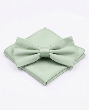 Vlinderdas + Pochet Groen nr.1 Heren in Polyester 
