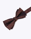 Vlinderdas Rood nr.3 Met Patronen Heren in Polyester 
