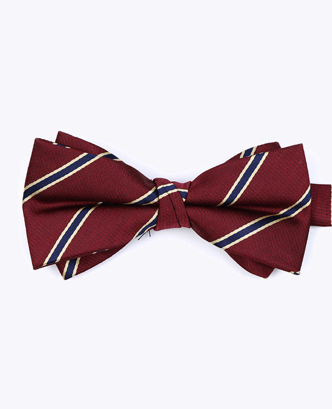 Vlinderdas Rood Gestreept Heren in Polyester "Edmond"