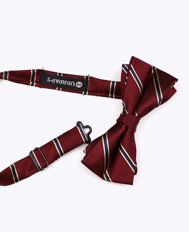 Vlinderdas Rood Gestreept Heren in Polyester "Edmond"