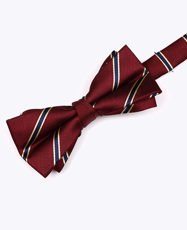 Vlinderdas Rood Gestreept Heren in Polyester "Edmond"