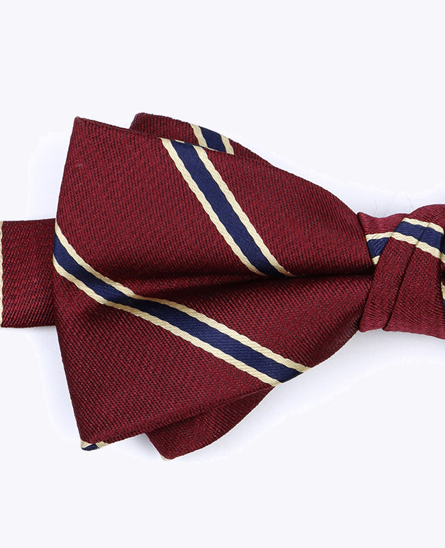 Vlinderdas Rood Gestreept Heren in Polyester "Edmond"