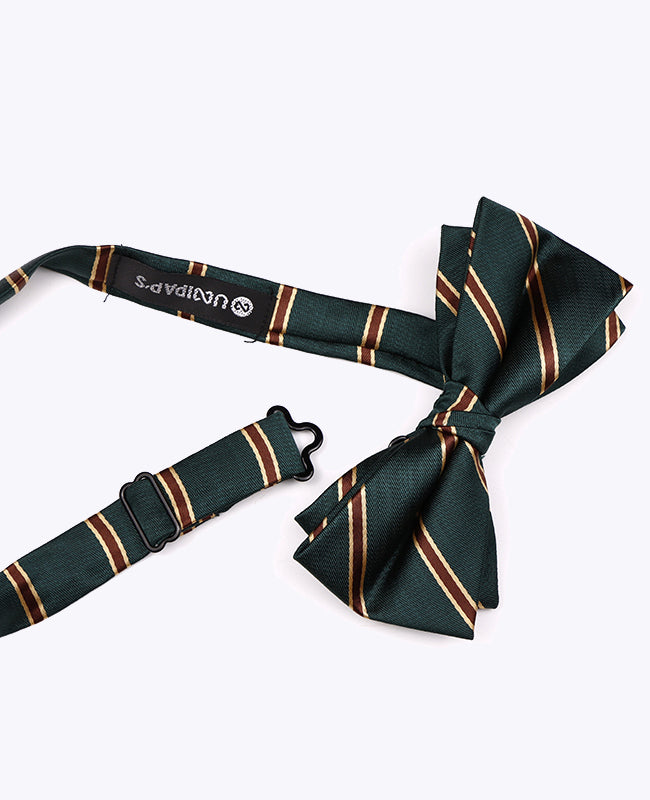 Vlinderdas Groen Gestreept Heren in Polyester "Edmond"