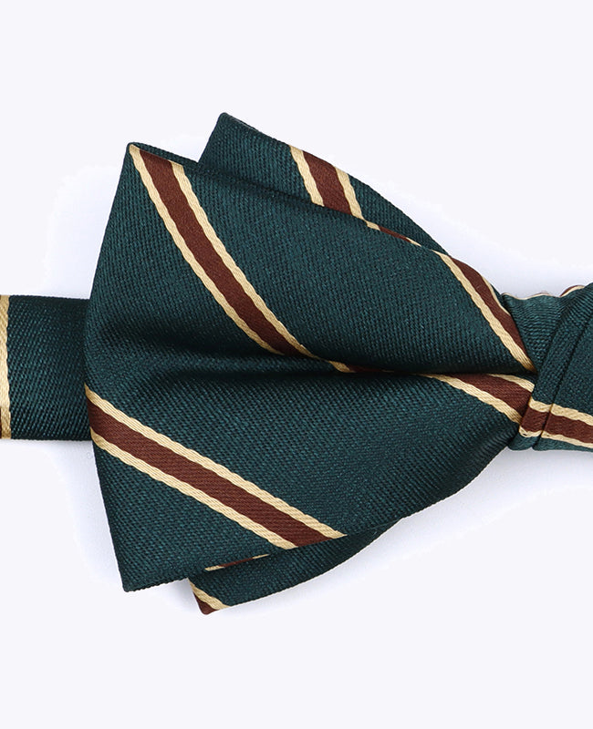 Vlinderdas Groen Gestreept Heren in Polyester "Edmond"