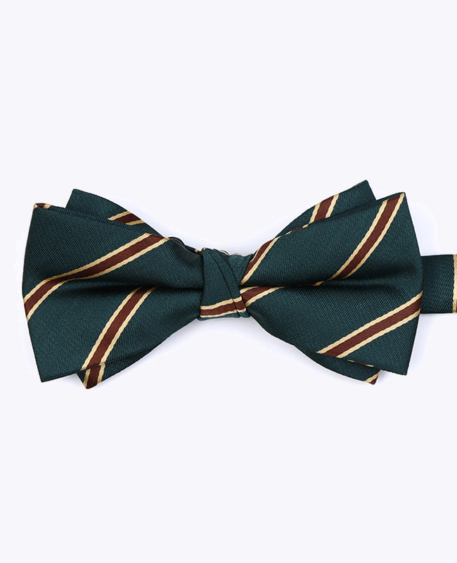 Vlinderdas Groen Gestreept Heren in Polyester "Edmond"