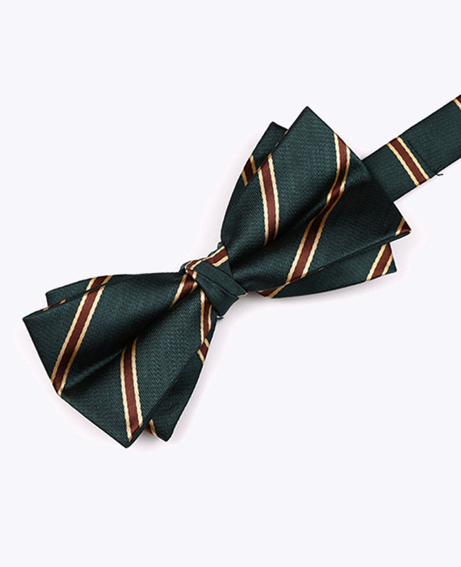 Vlinderdas Groen Gestreept Heren in Polyester "Edmond"