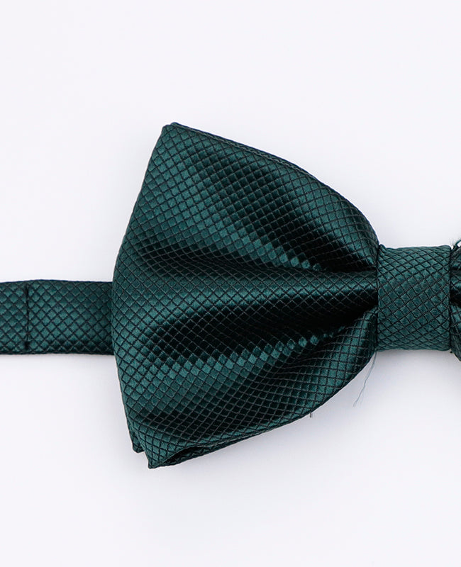 Noeud Papillon Vert n°2 Homme en Polyester | Martin - Unipap's